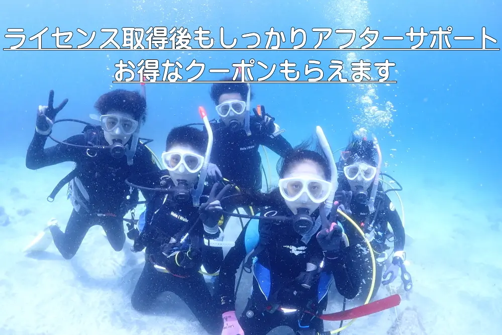 ライセンス取得後もしっかりアフターサポートお得なクーポンもらえます