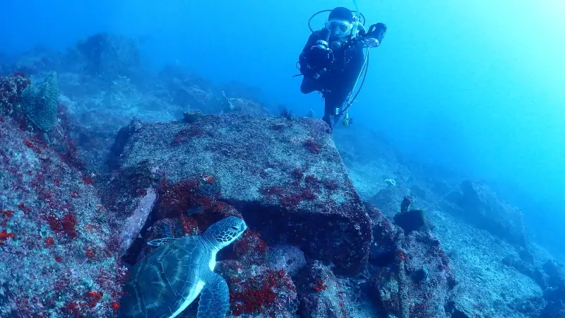 ファンダイビング