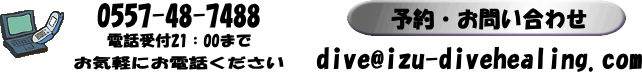 0557-48-7488 電話受付21:00までお気軽にお電話ください 予約・お問い合わせdive@izu-divehealing.com