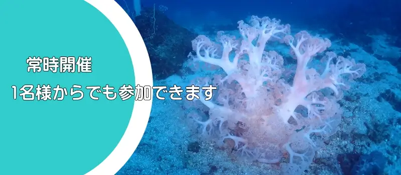 常時開催　1名からでもご参加できます