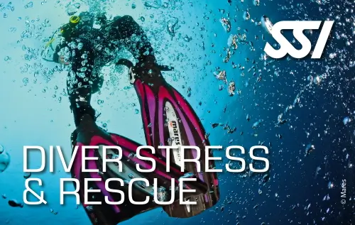 SSI DIVERSTRESS & RESCUE