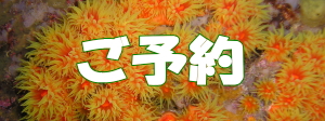 ご予約