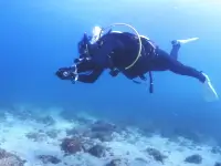 アドバンス講習