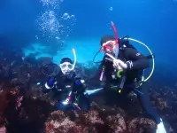 ダイビングライセンス