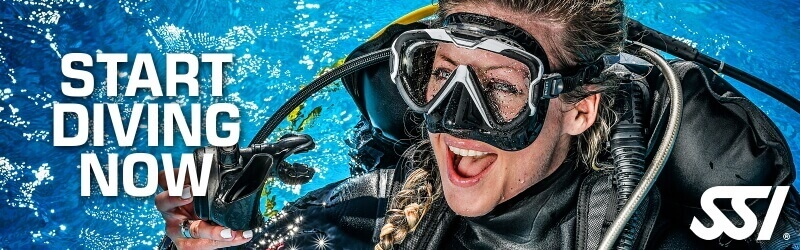 START DIVING NOW SSI