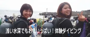 浅い水深でもお魚いっぱい！体験ダイビング