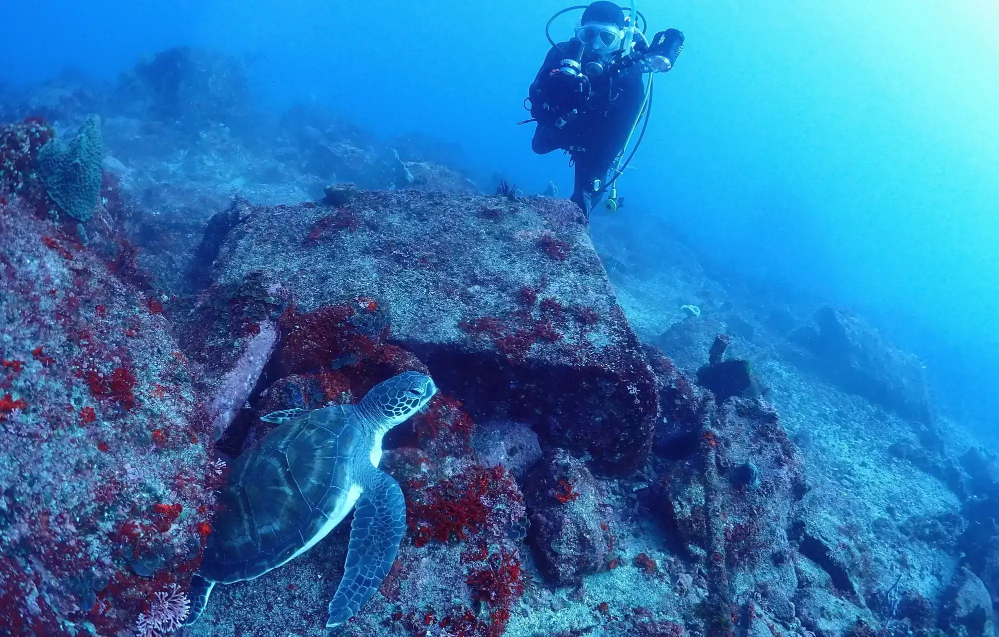 初来店限定2ビーチダイビング¥12,600
