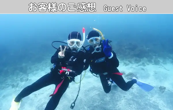 お客様のご感想　GuestVoice