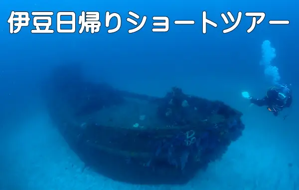 伊豆日帰りツアー