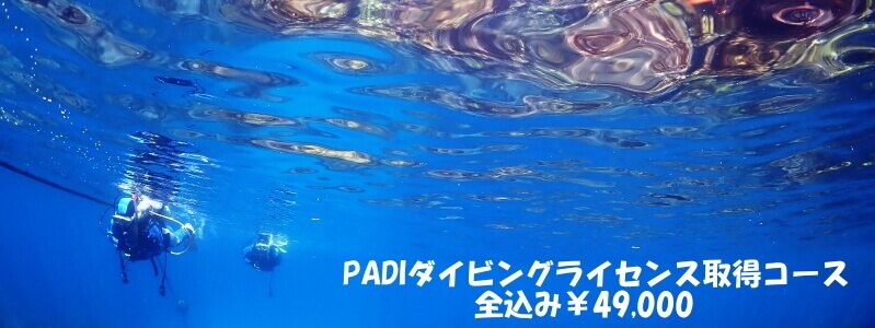 PADIダイビングライセンス取得コース全込み￥49,000