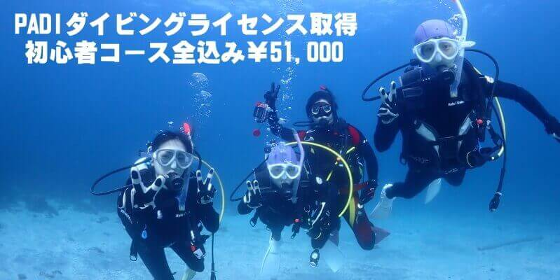 PADIダイビングライセンス取得初心者コース￥51,000