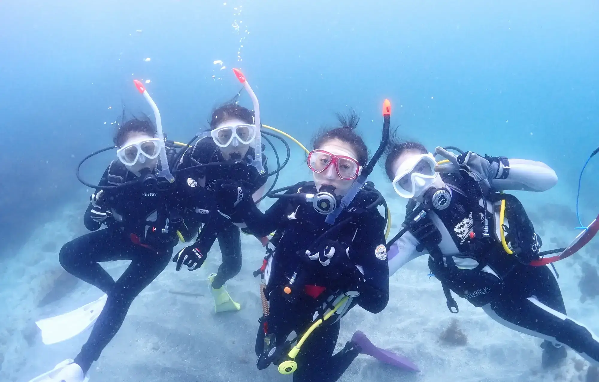 ダイビングライセンス取得コース¥51,000