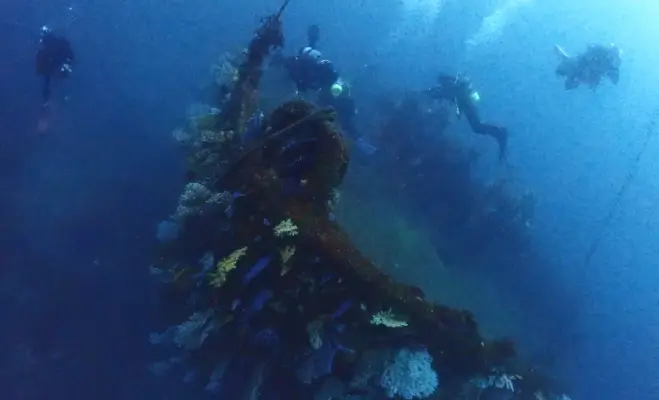 熱海2ボートダイビング￥19,800