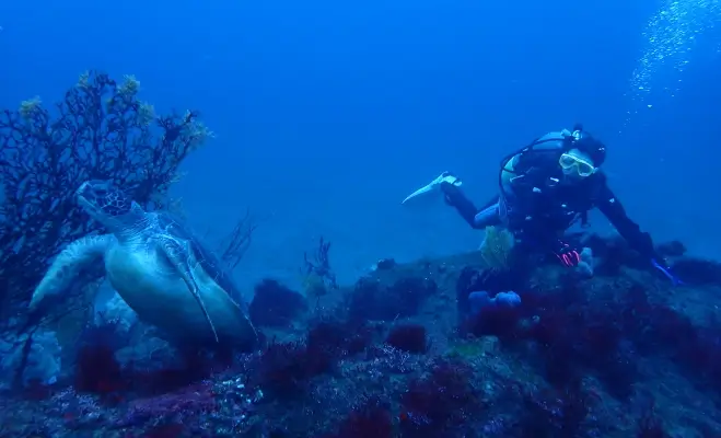 北川2ボートダイビング￥19,800