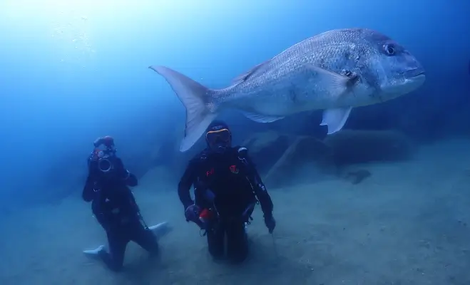 黄金崎2ビーチダイビング￥14,850