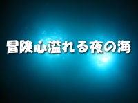 冒険心溢れる夜の海